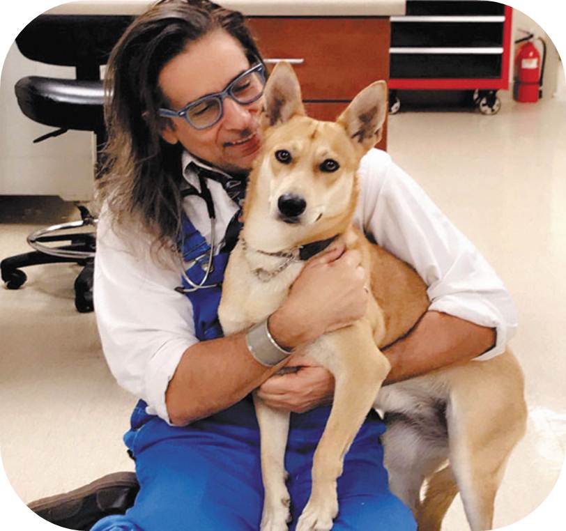 Dr. Mark Restey, VMD — Rosemont Pet Clinic Tucson